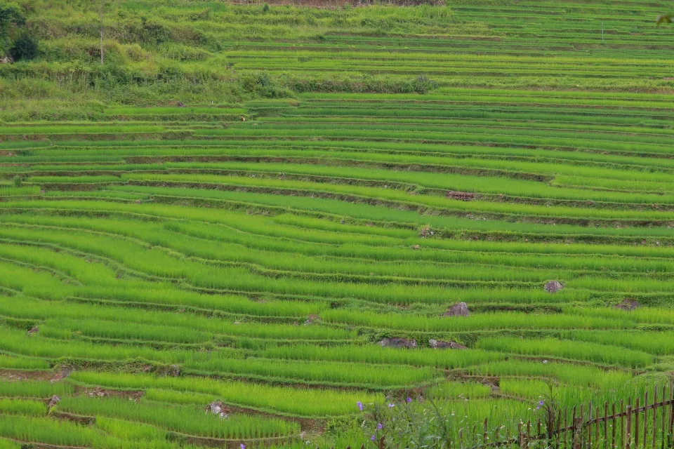 Kho gạo của Huỳnh Kỷ